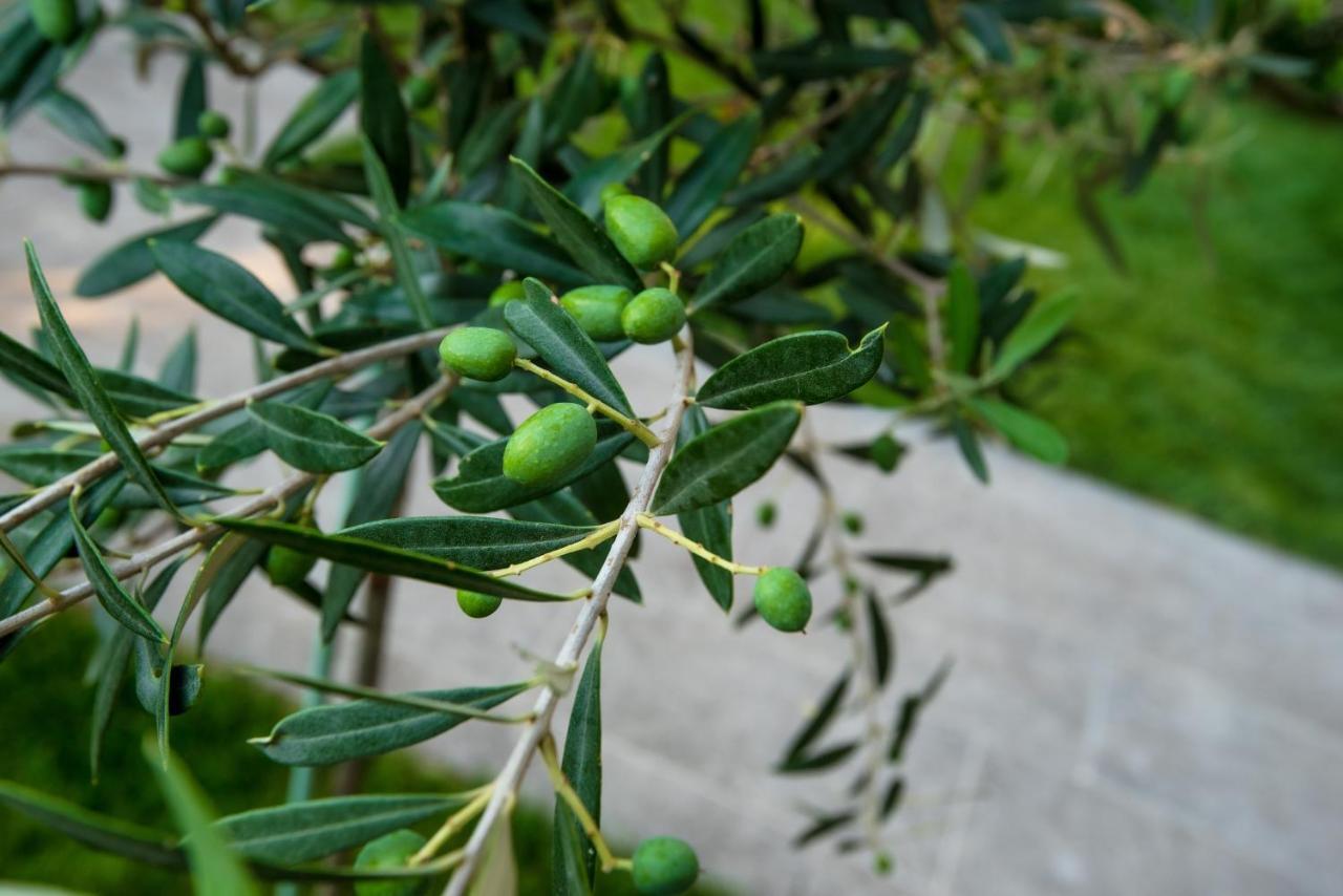 Olive 102 Lägenhet Peraía Exteriör bild