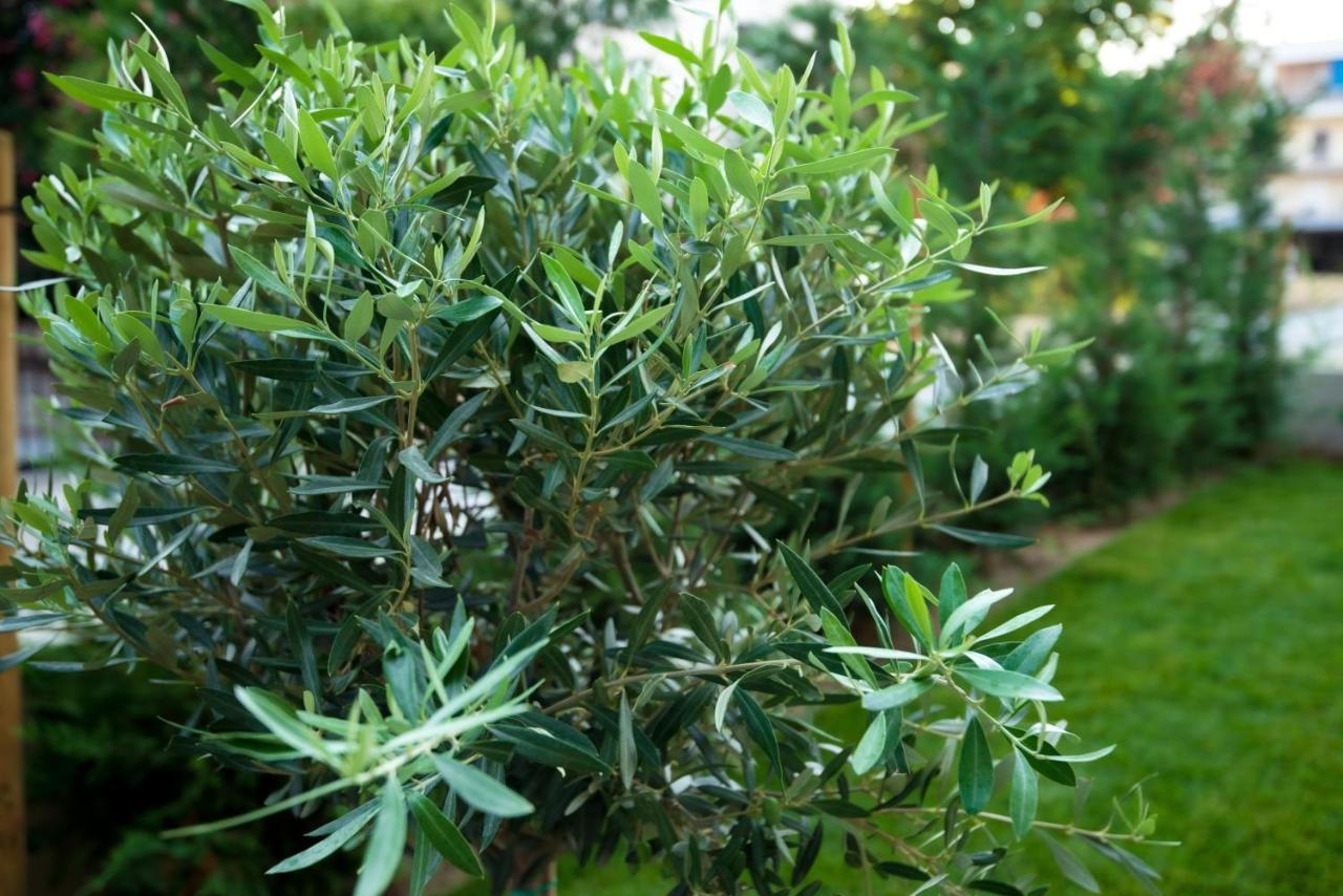 Olive 102 Lägenhet Peraía Exteriör bild